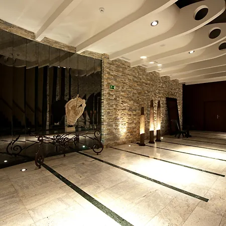 Livvo Valle & Aquapark Hotel 4*